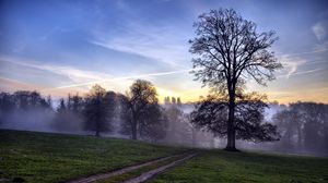 Preview wallpaper trees, fog, road, field, secret, evening, sky