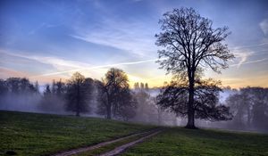 Preview wallpaper trees, fog, road, field, secret, evening, sky