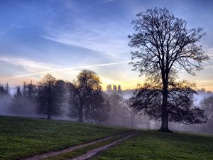 Preview wallpaper trees, fog, road, field, secret, evening, sky