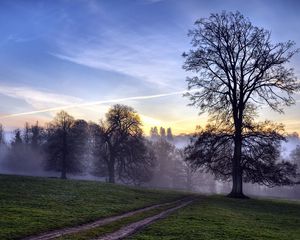 Preview wallpaper trees, fog, road, field, secret, evening, sky