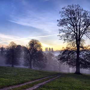 Preview wallpaper trees, fog, road, field, secret, evening, sky