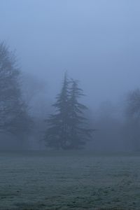 Preview wallpaper trees, fog, silhouettes, landscape, nature