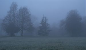 Preview wallpaper trees, fog, silhouettes, landscape, nature