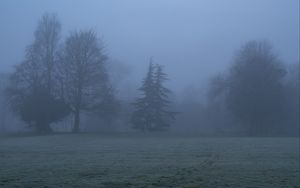 Preview wallpaper trees, fog, silhouettes, landscape, nature