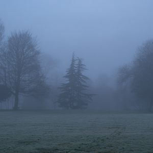 Preview wallpaper trees, fog, silhouettes, landscape, nature