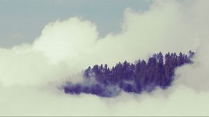Preview wallpaper trees, fog, sky