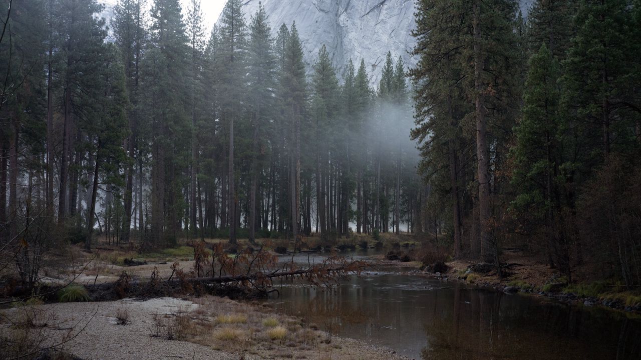 Wallpaper trees, fog, stream, mountains, landscape