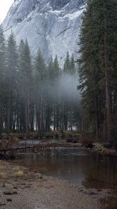 Preview wallpaper trees, fog, stream, mountains, landscape