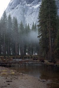 Preview wallpaper trees, fog, stream, mountains, landscape