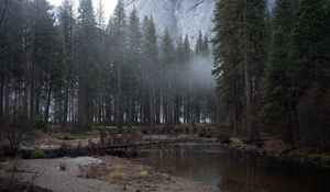 Preview wallpaper trees, fog, stream, mountains, landscape