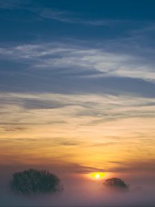 Preview wallpaper trees, fog, sunrise, sky