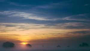 Preview wallpaper trees, fog, sunrise, sky
