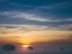 Preview wallpaper trees, fog, sunrise, sky