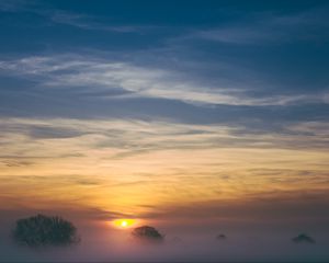 Preview wallpaper trees, fog, sunrise, sky