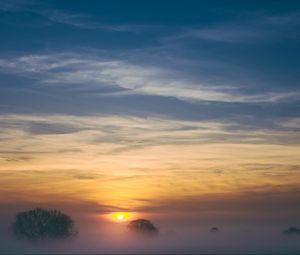 Preview wallpaper trees, fog, sunrise, sky