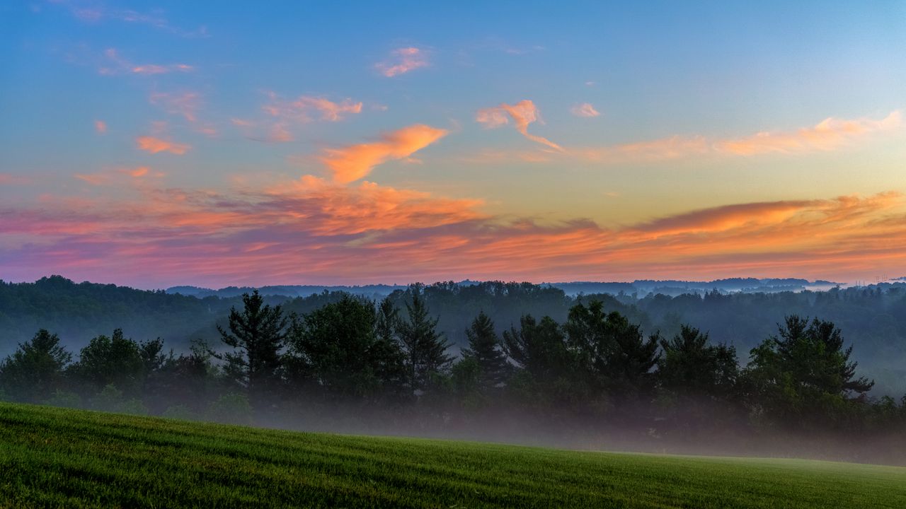 Wallpaper trees, fog, sunset, sky