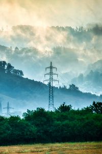 Preview wallpaper trees, fog, wires, clouds