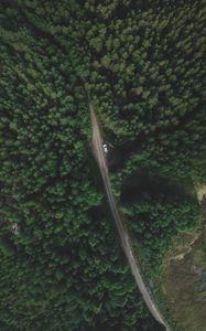 Preview wallpaper trees, forest, aerial view, road, movement