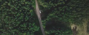 Preview wallpaper trees, forest, aerial view, road, movement