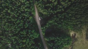 Preview wallpaper trees, forest, aerial view, road, movement