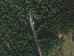 Preview wallpaper trees, forest, aerial view, road, movement