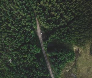 Preview wallpaper trees, forest, aerial view, road, movement