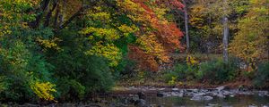 Preview wallpaper trees, forest, autumn, river, stones, landscape, nature