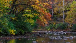 Preview wallpaper trees, forest, autumn, river, stones, landscape, nature