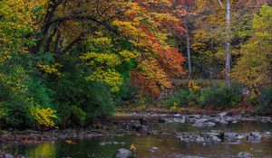 Preview wallpaper trees, forest, autumn, river, stones, landscape, nature