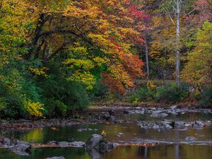 Preview wallpaper trees, forest, autumn, river, stones, landscape, nature