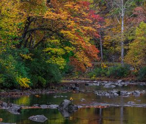 Preview wallpaper trees, forest, autumn, river, stones, landscape, nature