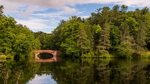 Preview wallpaper trees, forest, bridge, water