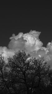 Preview wallpaper trees, forest, clouds, sky, bw