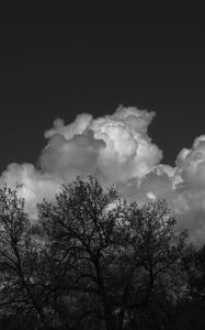 Preview wallpaper trees, forest, clouds, sky, bw