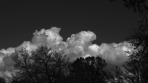 Preview wallpaper trees, forest, clouds, sky, bw