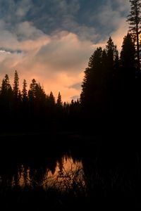Preview wallpaper trees, forest, evening, pond, dark