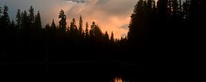 Preview wallpaper trees, forest, evening, pond, dark