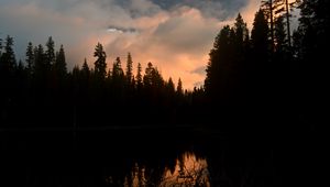 Preview wallpaper trees, forest, evening, pond, dark