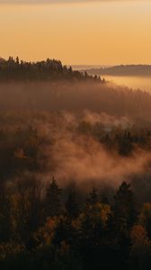 Preview wallpaper trees, forest, fog, distance