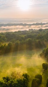 Preview wallpaper trees, forest, glade, light, landscape