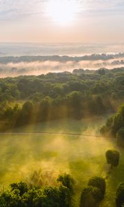 Preview wallpaper trees, forest, glade, light, landscape