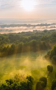 Preview wallpaper trees, forest, glade, light, landscape