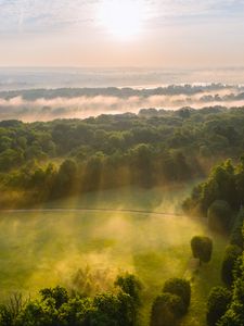 Preview wallpaper trees, forest, glade, light, landscape