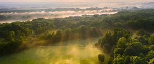 Preview wallpaper trees, forest, glade, light, landscape