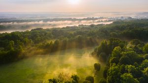 Preview wallpaper trees, forest, glade, light, landscape