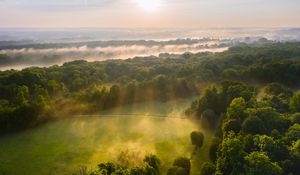 Preview wallpaper trees, forest, glade, light, landscape