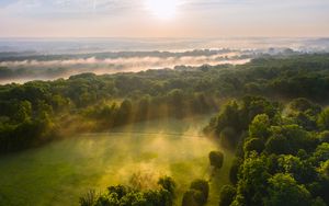 Preview wallpaper trees, forest, glade, light, landscape