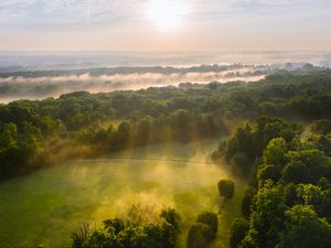 Preview wallpaper trees, forest, glade, light, landscape