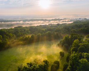 Preview wallpaper trees, forest, glade, light, landscape