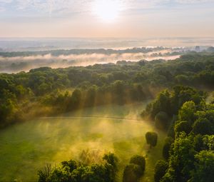 Preview wallpaper trees, forest, glade, light, landscape